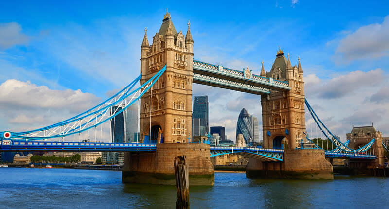 Special Occasion Fashion